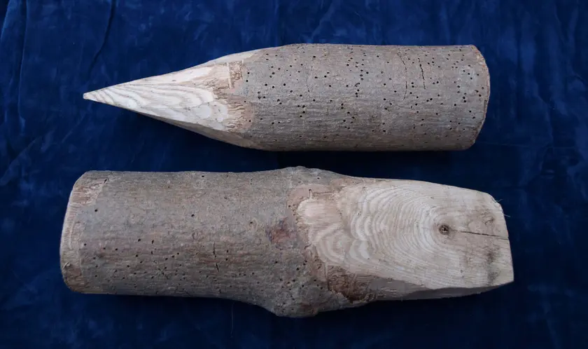 Two wooden gluts, roughly shaped wedges for splitting logs