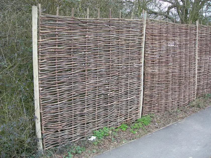 Wattle hurdles of woven hazel standing as a fence