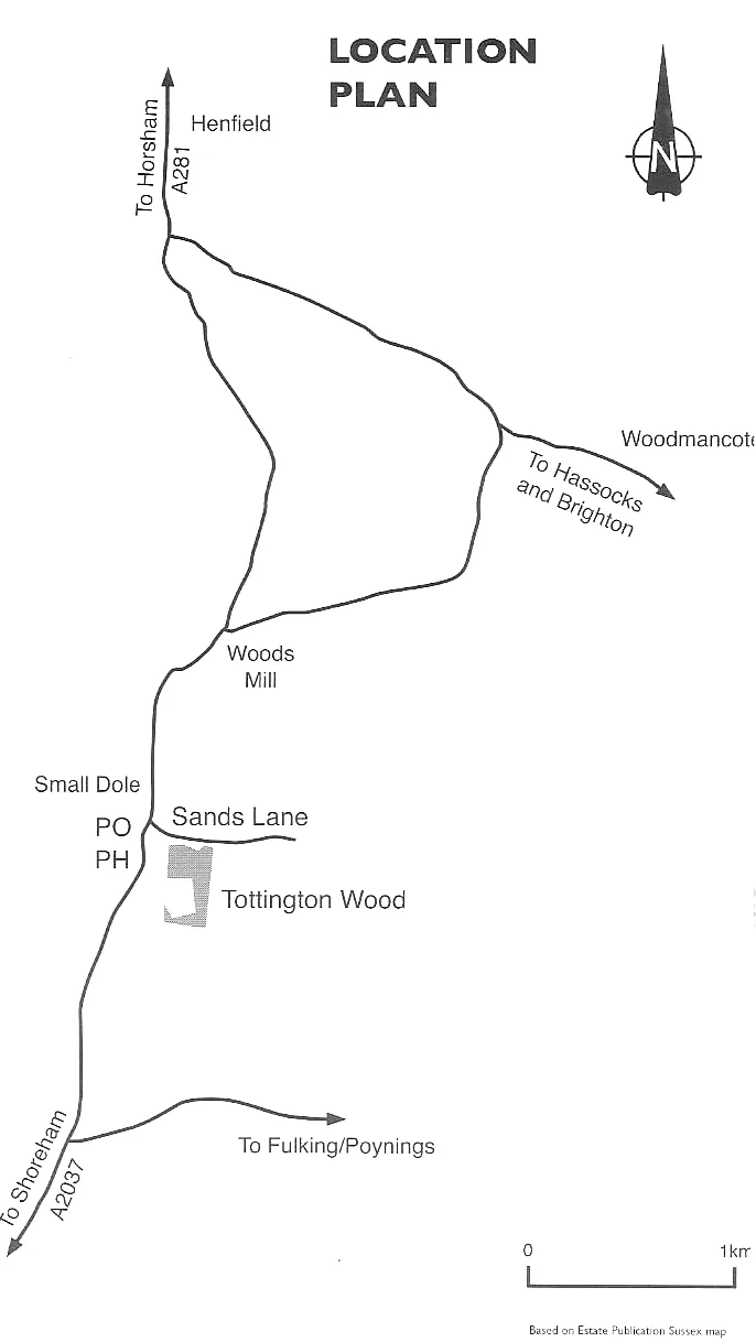 Location plan. The A2037 runs north from Shoreham through Small Dole to Henfield. Tottington Wood lies just east of the main road at Small Dole, south of Sands Lane, with Woods Mill a little to the north.
